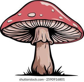 illustration of a mushroom or fly agaric mushroom without background