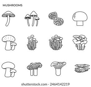 Illustration of mushroom and fungi modern icon concept ui ux icon for website, app, presentaion, flyer, brochure etc.