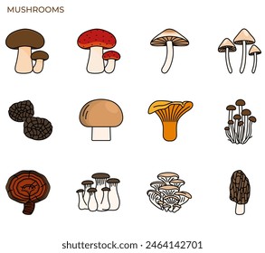 Illustration of mushroom and fungi modern icon concept ui ux icon for website, app, presentaion, flyer, brochure etc.