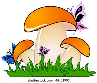 illustration with mushroom. grass and butterfly;