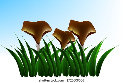 illustration of Mushroom Hyphaloma cyanescens brown hat with a black gray leg growing in the grass on a white and blue background