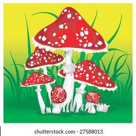 Illustration of mushroom on a green grass, forest landscape, vector illustration