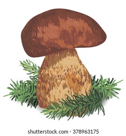 Illustration of a mushroom on a white background
