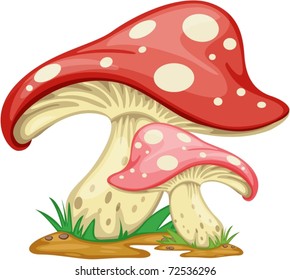 Illustration of Mushroom on a white background