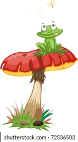 Illustration of mushroom on a white background