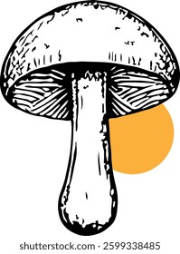 Illustration of a mushroom with an orange circle