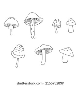 Illustration of Mushroom Outline Suitable for Kids Coloring Page 
