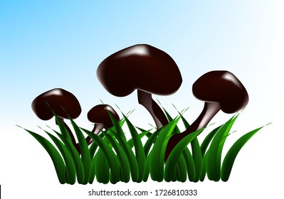 illustration of Mushroom Psilocybe montana dark brown hat with a black brown leg growing in the grass on a white and blue background