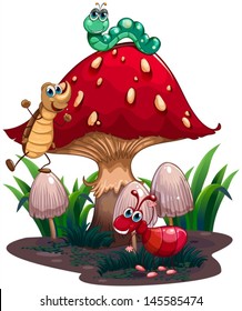 Illustration of a mushroom surrounded with different insects on a white background