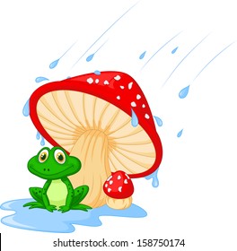 Illustration of mushroom with a toad