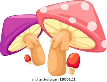 illustration mushroom vector