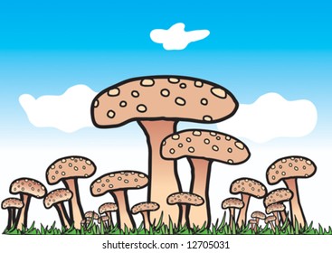Illustration of Mushrooms with Blue Sky