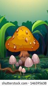 Illustration of the mushrooms at the forest 