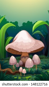 Illustration of the mushrooms in the forest