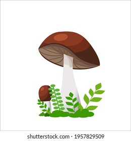 An illustration of mushrooms. Forest mushrooms brown in green young grass on a white background. Flat lay. Banner or poster. Vector.

