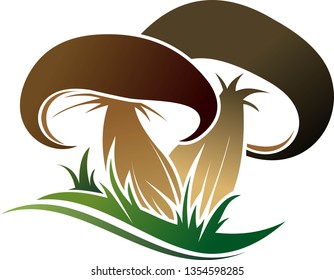 Illustration of mushrooms in the grass