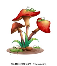 Illustration of the mushrooms with grasshoppers on a white background