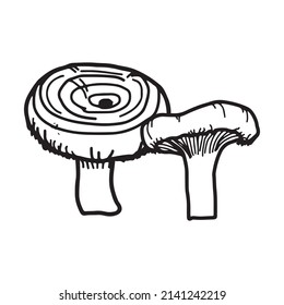 Illustration of mushrooms growing in the forest. Hand drown mushroom. Doodle illustration mushroom.Forest poisonous mushroom, Medicinal plant.