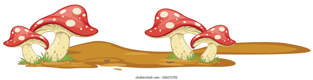 Illustration of mushrooms growing on the ground