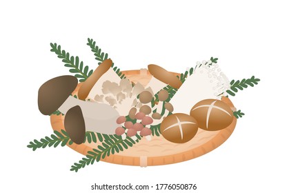 松茸 イラスト High Res Stock Images Shutterstock