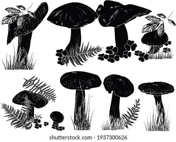 illustration with mushrooms on white background