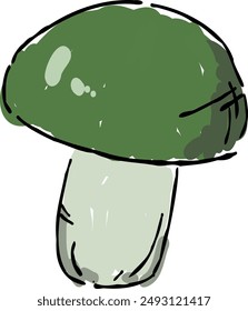 Illustration of mushrooms seen in autumn.