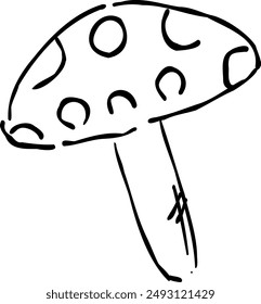 Illustration of mushrooms seen in autumn.