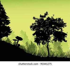 illustration with mushrooms under fir