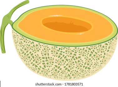 Illustration of a muskmelon cut in half.