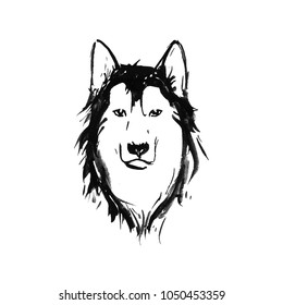 Illustration of the muzzle of Husky for the logo or poster.