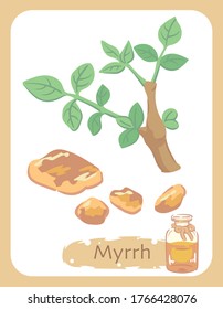 Illustration of myrrh and aromatherapy bottle. Vector illustration.