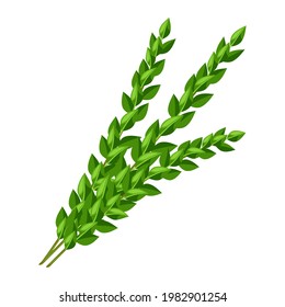 Illustration of myrtle branches Happy Sukkot traditional symbol.