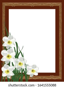 illustration with narcissus floweres in brown frame