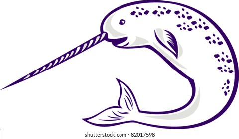 illustration of narwhal Monodon monoceros unicorn whale with straight tusk tooth on isolated white background