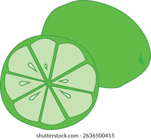 Illustration of natural food, green color, halved or sliced, lime vector, cartoon style, simple design