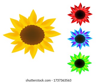 illustration of a natural sunflower in blue, red and green colors on a white background