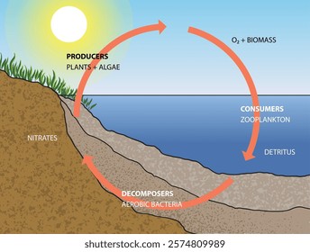 illustration of  natural water features diagram - vector