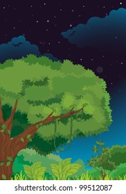 Illustration of a nature background at night