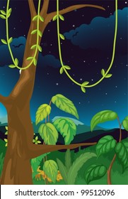 Illustration of a nature background at night