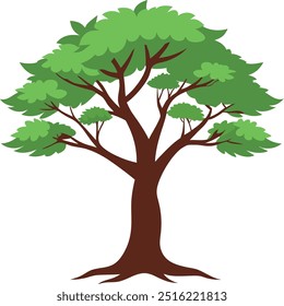 Illustration nature beech tree plant flat art design