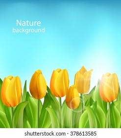Illustration Nature Floral Background with Tulips Flowers and Blue Sky, Springtime, Environment, Beautiful Landscape - Vector