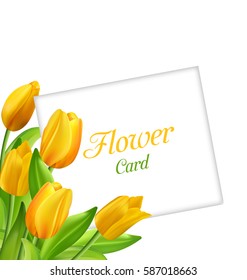 Illustration Nature Flower Card with Tulips, Invitation for Womens Day or Easter - Vector