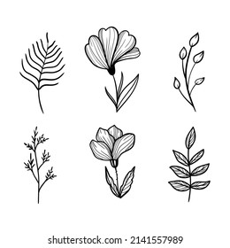 illustration nature leaves flowers branches flora black and white