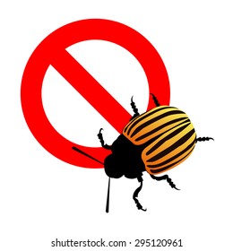 illustration nature potato colorado vector animal beetle