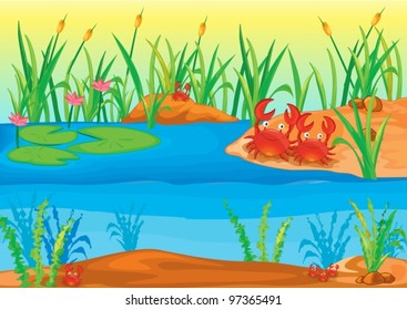 illustration of nature scence on a whote background