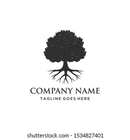 Illustration nature Tree Oak old logo design vintage vector silhouette