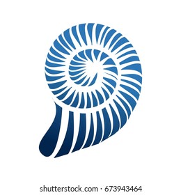 Illustration of a nautilus sea mollusk