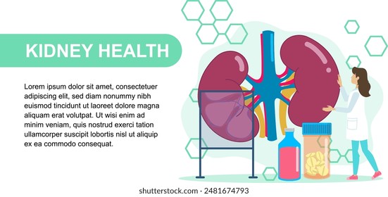  Illustration of a nephrologist examining kidneys with medical tools, medication bottles, and a diagram. Ideal for educational and medical content.