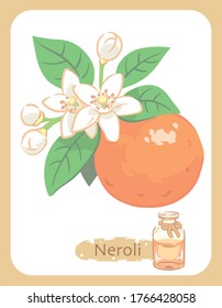 Illustration von Neroli und Aromatherapie Flasche. Vektorgrafik.