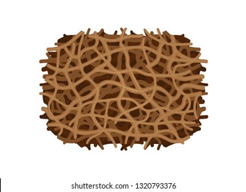 illustration of nest termite texture close up isolated on white background, clip art termite nest, termite nest ant insect species eaten wood decay and bite damaged, termite nest white ants close-up